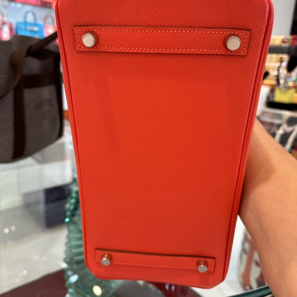 Authentic Brand New In Box 30cm Rose Jaipur in Epsom - Picture 5 of 5